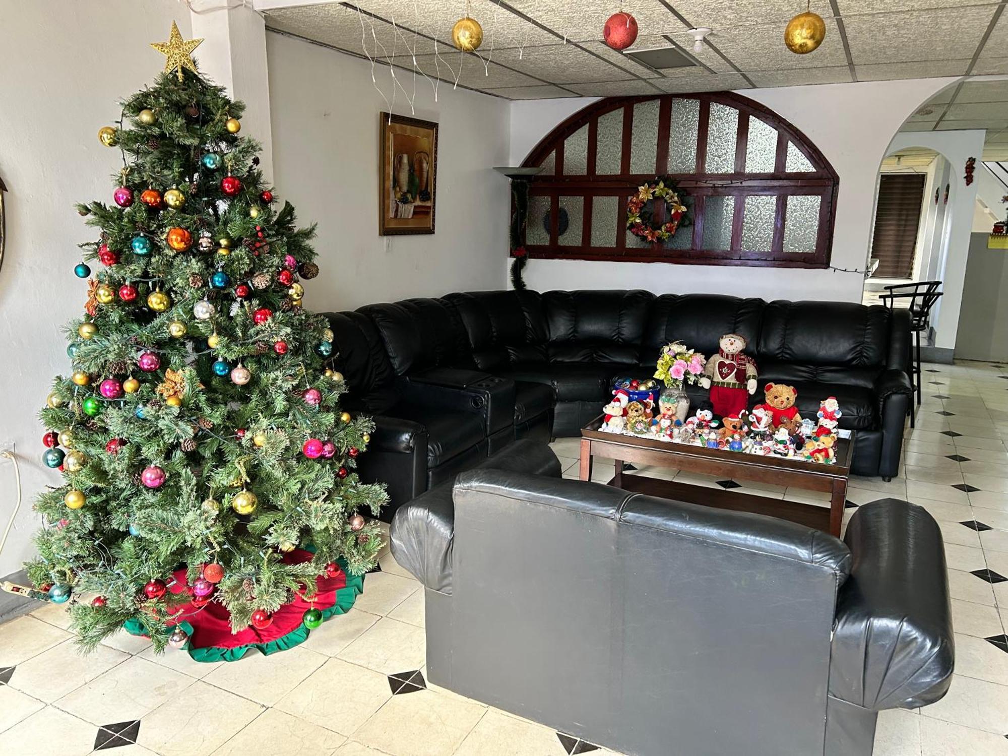 El Callejon Guest House León エクステリア 写真