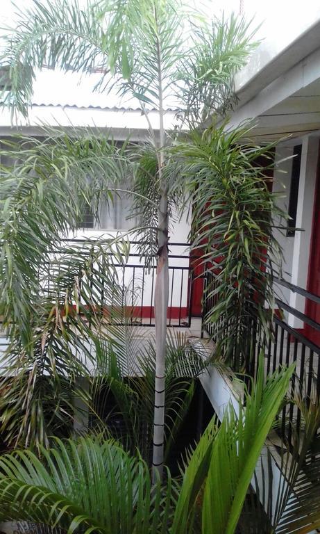 El Callejon Guest House León エクステリア 写真
